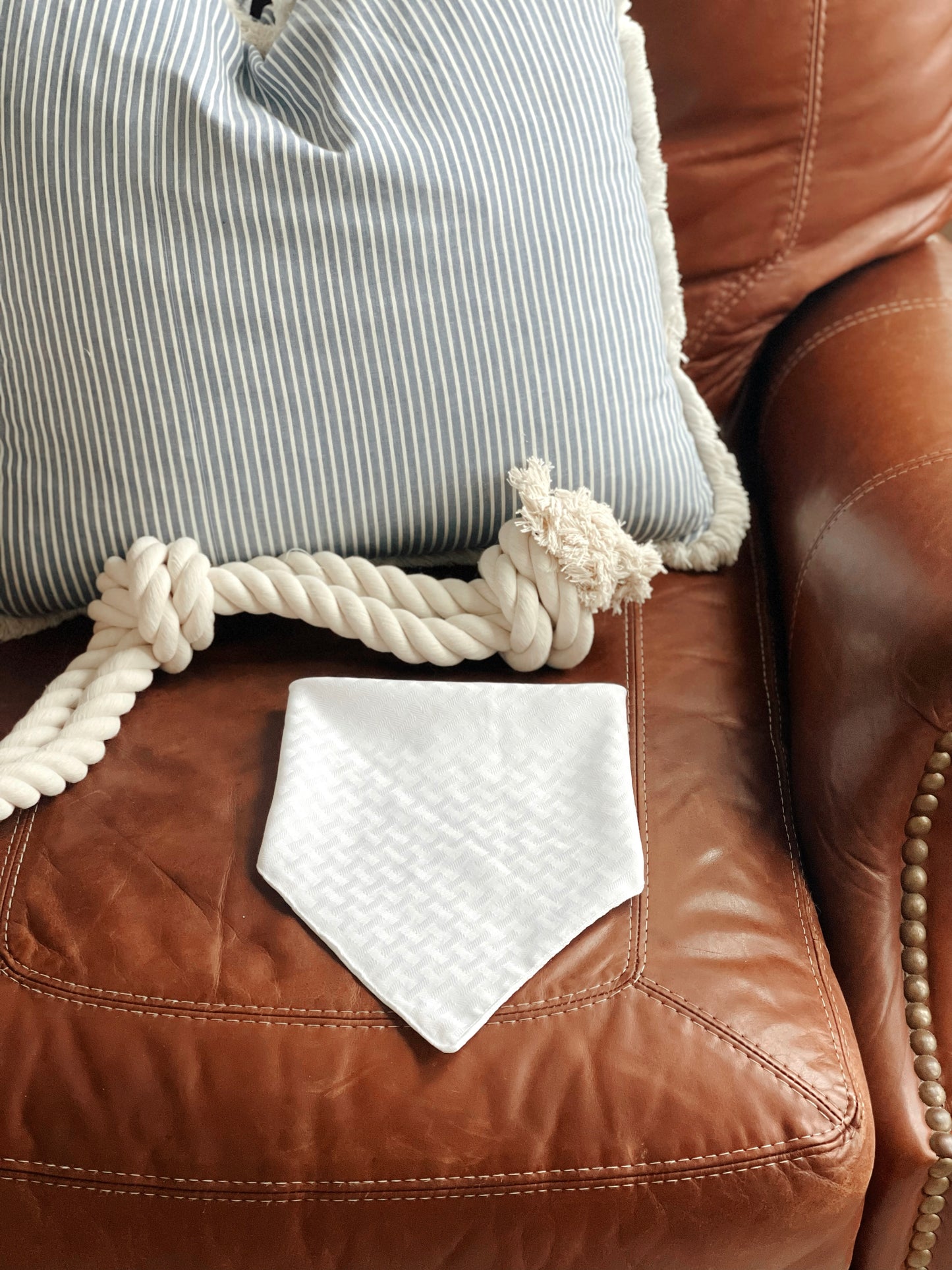Coconut Bandana